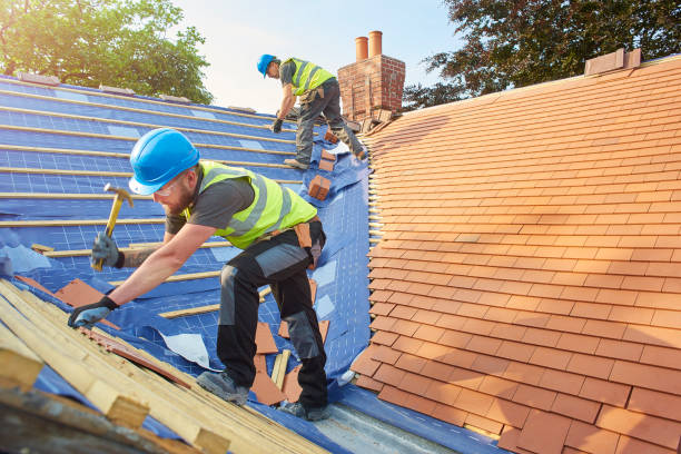 Best Sheet Metal Roofing  in Fmington, AR